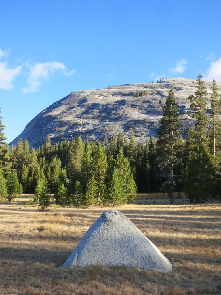 Find the Cause of Dis-ease - Tualomne Meadows - Yosemite, CA