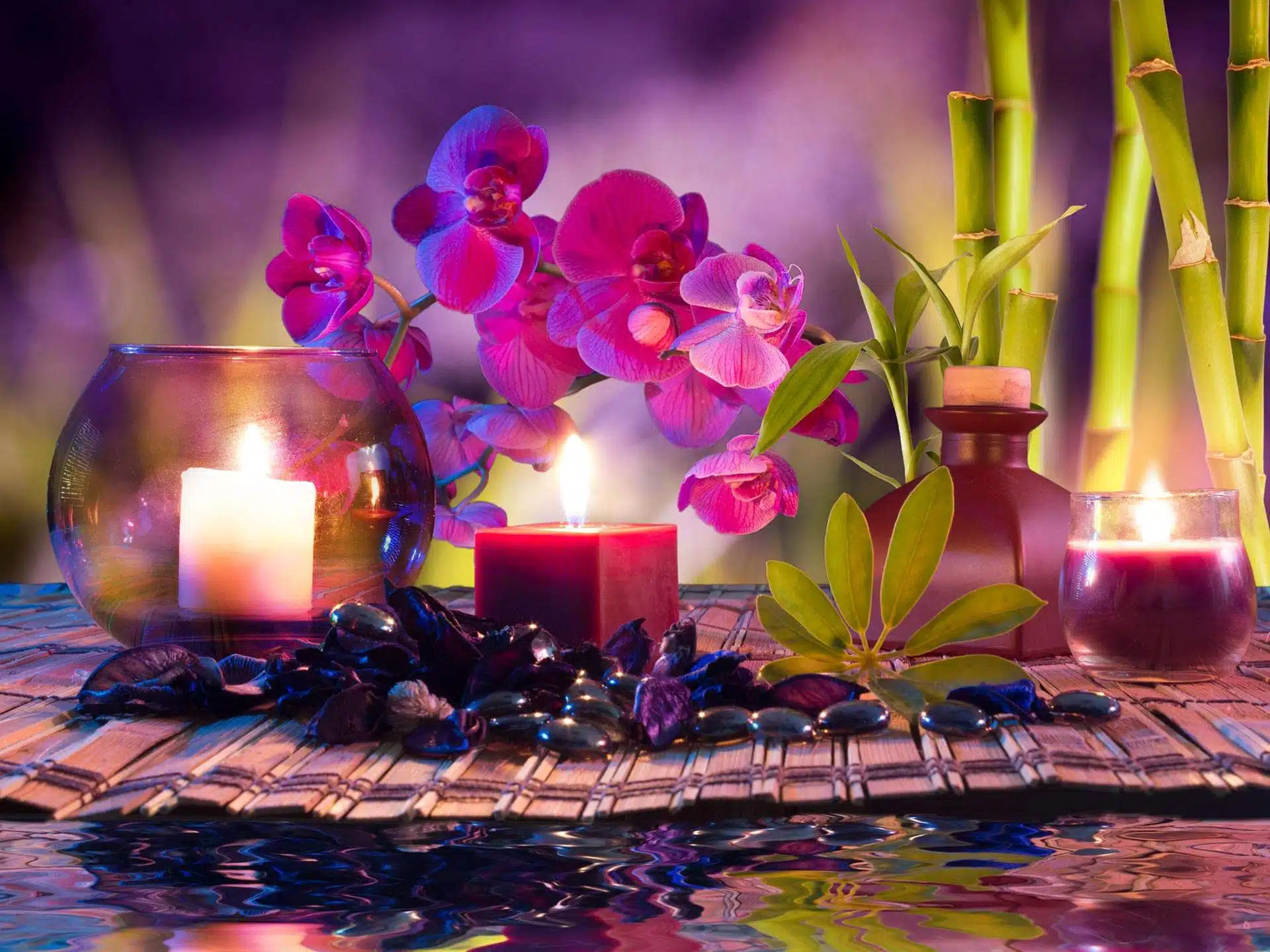 Living a Sacred Life - Courses for Shamanism, Meditation and Healing