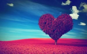 Spirit Contact - Connection & Protection Course Shamanism alt
