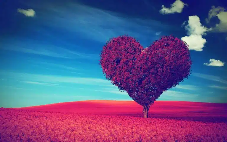 Courses for Spiritual Learning and Healing 4 Spirit Contact - Connection & Protection Course Shamanism alt