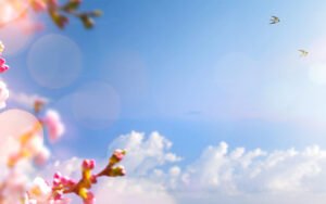 Compassionate Forgiveness Workshop alt